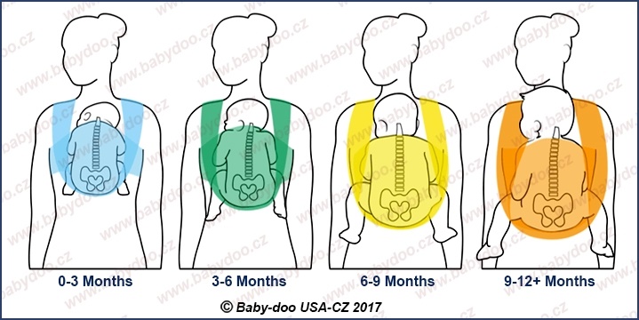 Carrier for 3 month old online